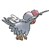 White Plumage Squawkabilly back shiny animated