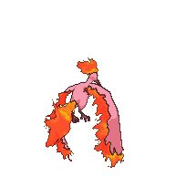 Moltres back shiny animated