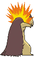 Typhlosion back shiny animated