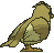 Pidgey back shiny animated