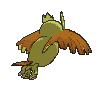 Noctowl back shiny animated