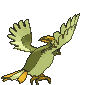 Pidgeotto back shiny animated