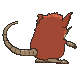 Raticate back shiny animated
