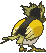 Spearow back shiny animated