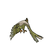 Fearow back shiny animated