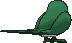 Taillow back shiny animated