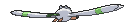 Wingull back shiny animated