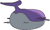 Wailord back shiny animated