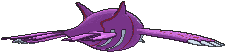 Kyogre back shiny animated