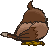 Starly back shiny animated