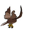 Staravia back shiny animated