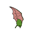Golbat back shiny animated