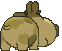 Hippopotas back shiny animated