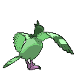 Tranquill back shiny animated
