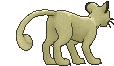 Persian back shiny animated