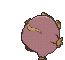 Darumaka back shiny animated