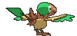 Archen back shiny animated