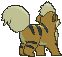 Growlithe back shiny animated