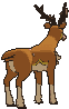 Spring Sawsbuck back shiny animated