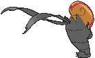 Accelgor back shiny animated