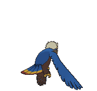 Braviary back shiny animated