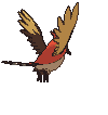 Fletchinder back shiny animated