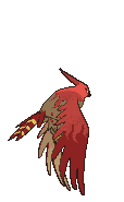 Talonflame back shiny animated