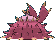 Toxapex back shiny animated