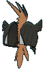Tapu Koko back shiny animated