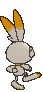 Scorbunny back shiny animated