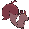 Skwovet back shiny animated