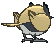 Rookidee back shiny animated