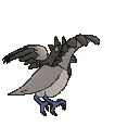 Corvisquire back shiny animated