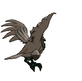 Corviknight back shiny animated