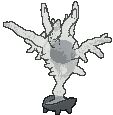 Cursola back shiny animated