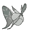 Frosmoth back shiny animated