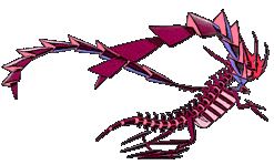 Eternatus back shiny animated