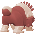 Ursaluna back shiny animated