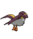 Wattrel back shiny animated