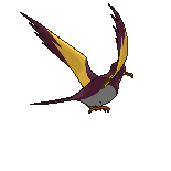 Kilowattrel back shiny animated