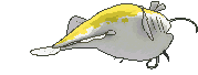 Dondozo back shiny animated