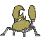 Krabby back shiny animated