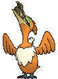 Gulping Cramorant front shiny animated