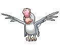 White Plumage Squawkabilly front shiny animated