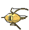 Magikarp front shiny animated