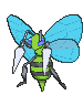Beedrill front shiny animated