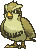 Pidgey front shiny animated