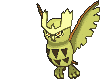 Noctowl front shiny animated