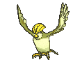 Pidgeotto front shiny animated