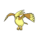 Pidgeot front shiny animated